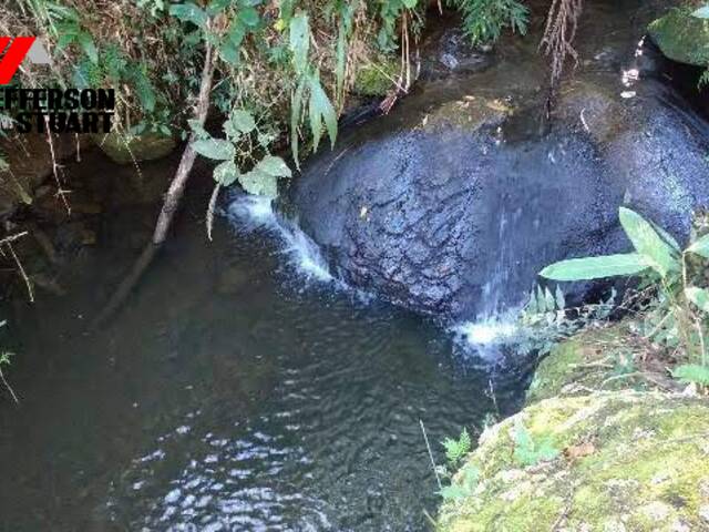 #14 - Sítio para Venda em Pindamonhangaba - SP - 1