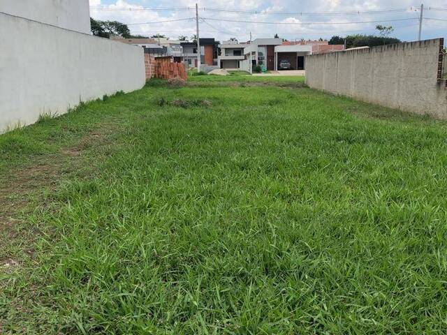 #310 - Terreno para Venda em Potim - SP - 3