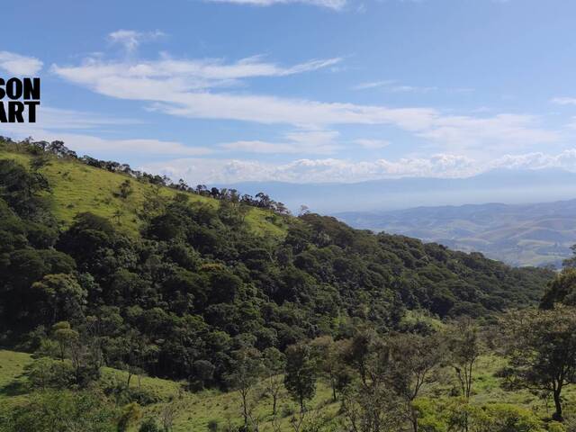 #381 - Sítio para Venda em Guaratinguetá - SP - 3