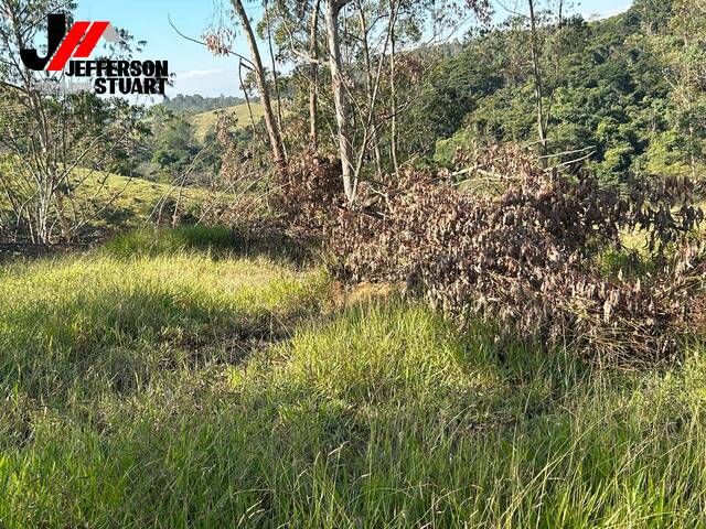 #553 - Fazenda para Venda em Guaratinguetá - SP - 2