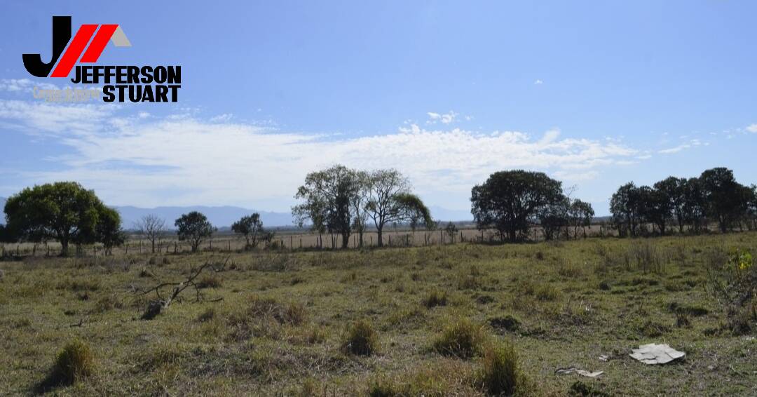 Terreno à venda, 4000m² - Foto 2