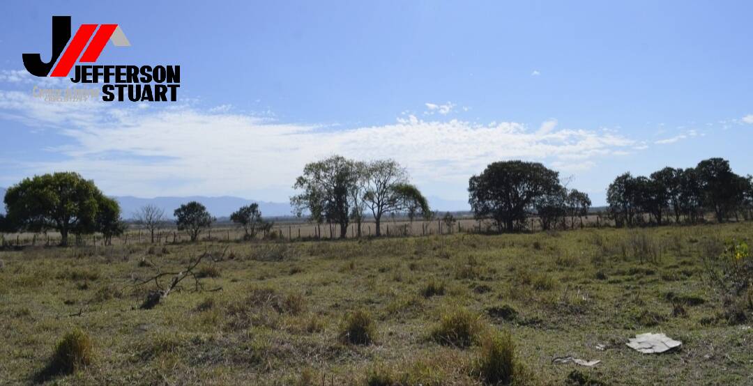 Terreno à venda, 4000m² - Foto 5