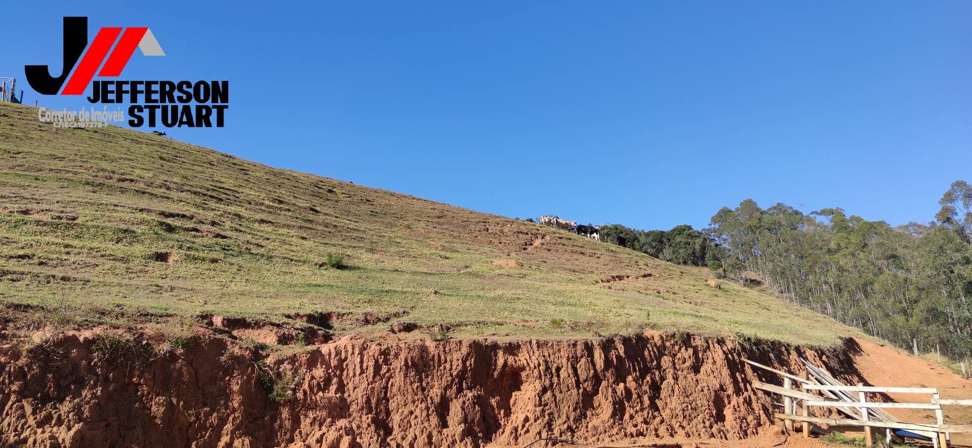 Fazenda à venda com 4 quartos, 4m² - Foto 22