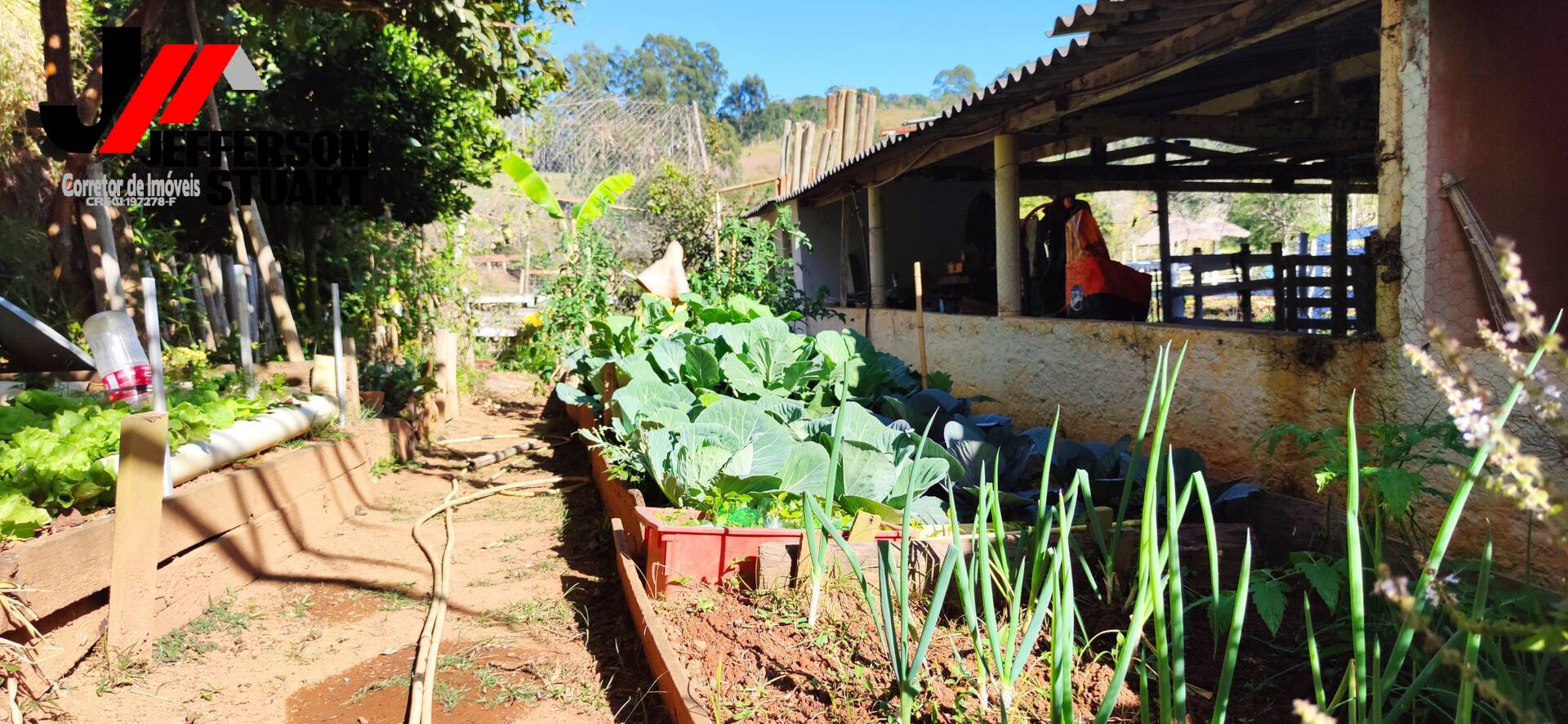 Fazenda à venda com 4 quartos, 4m² - Foto 29