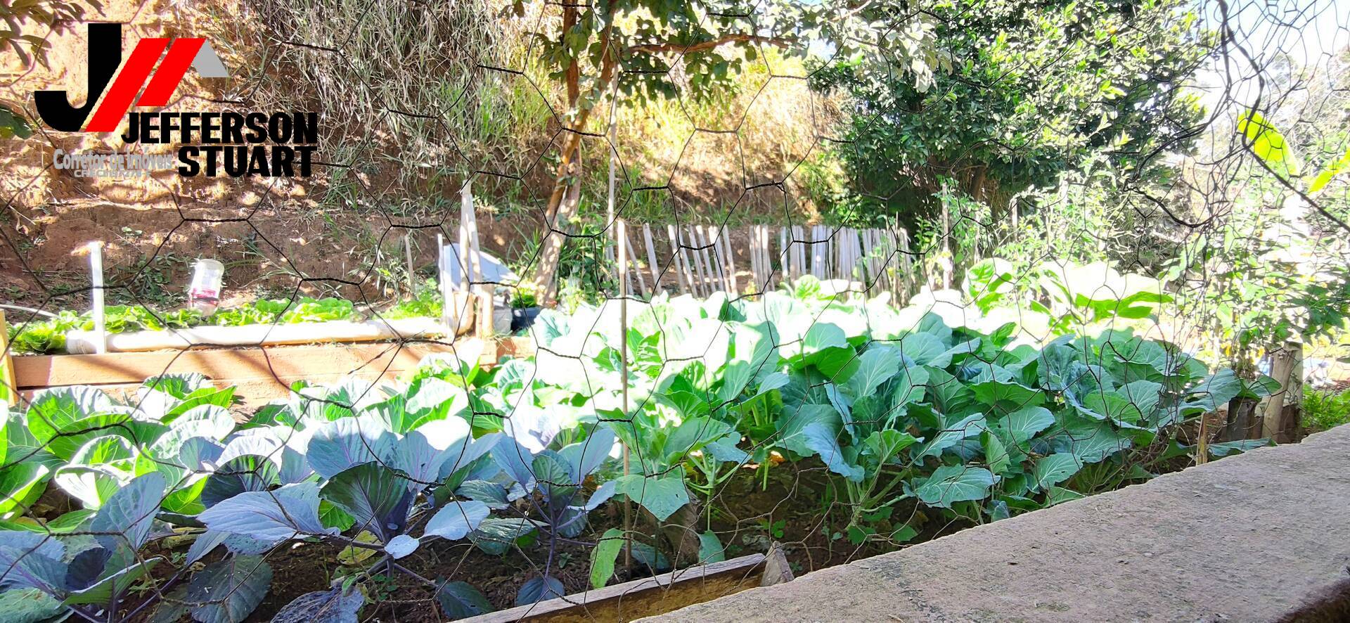 Fazenda à venda com 4 quartos, 4m² - Foto 30