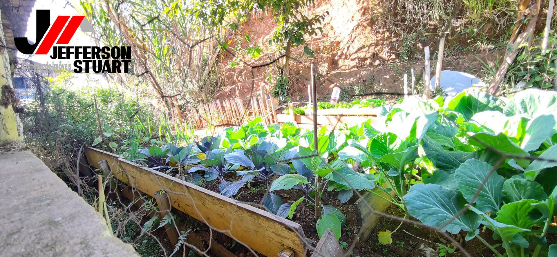 Fazenda à venda com 4 quartos, 4m² - Foto 31