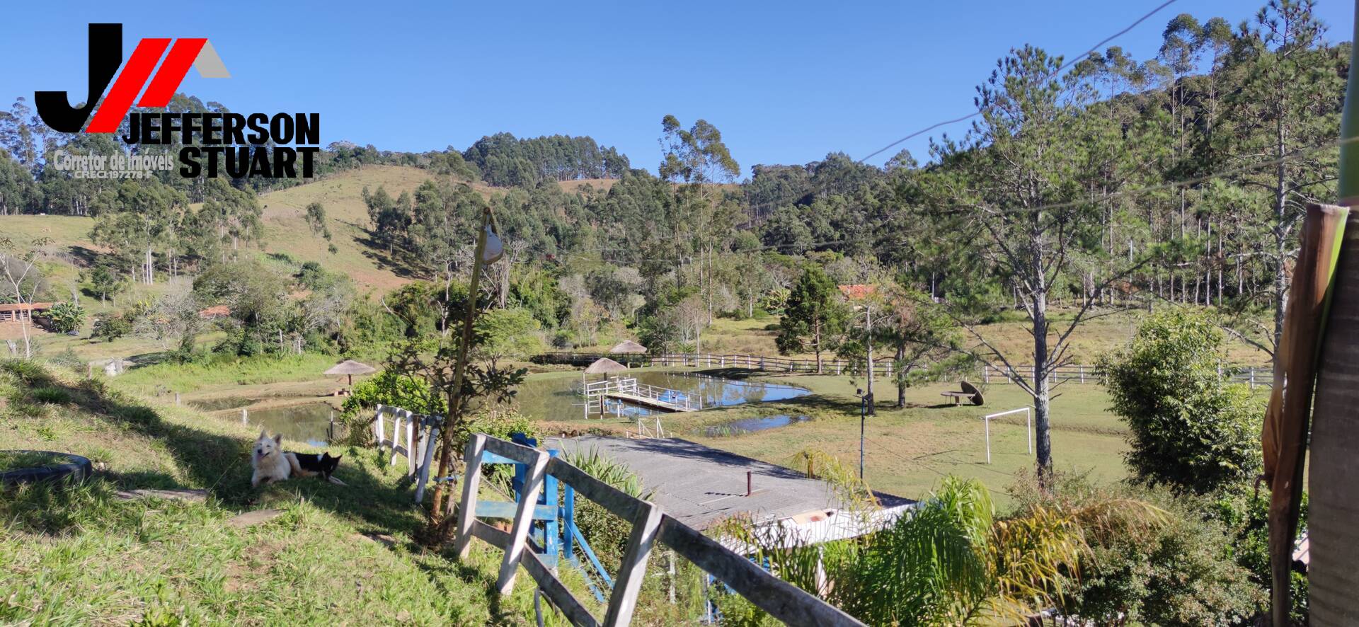 Fazenda à venda com 4 quartos, 4m² - Foto 33