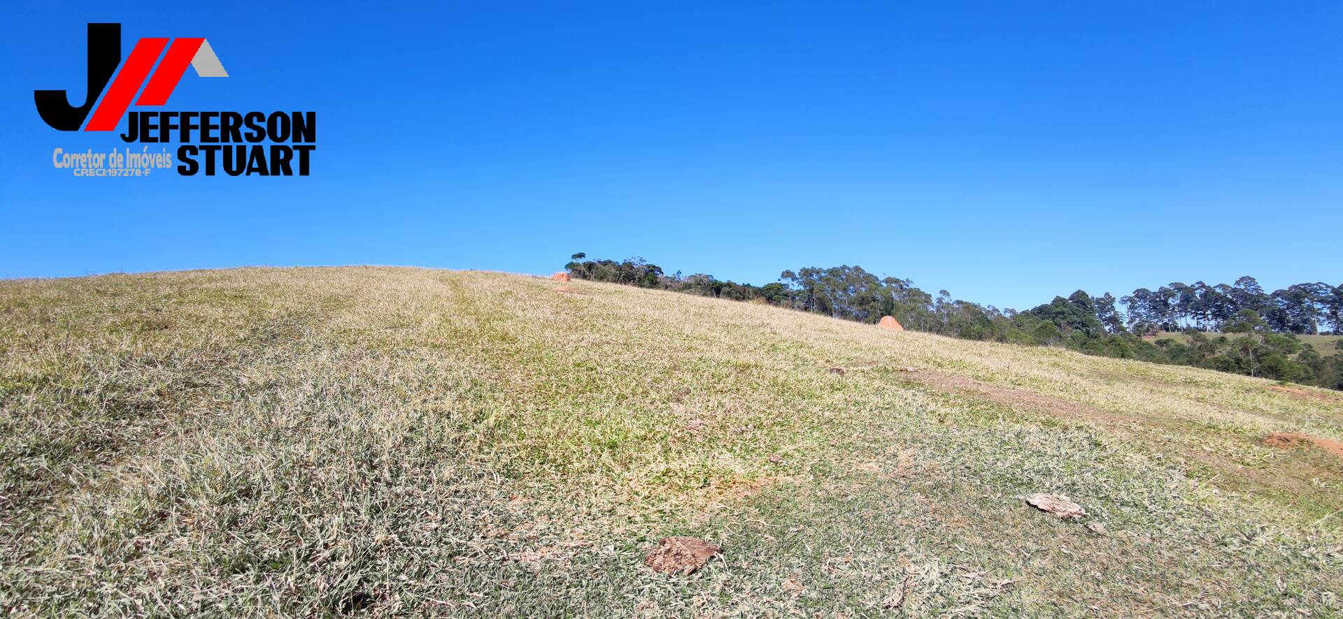 Fazenda à venda com 4 quartos, 4m² - Foto 40