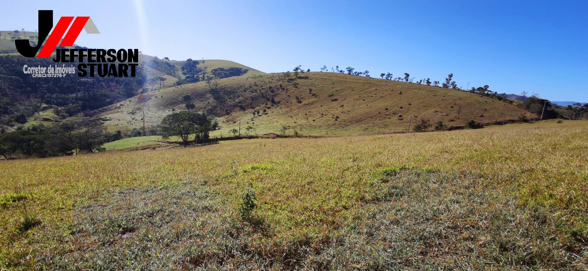 Fazenda à venda com 4 quartos, 4m² - Foto 42