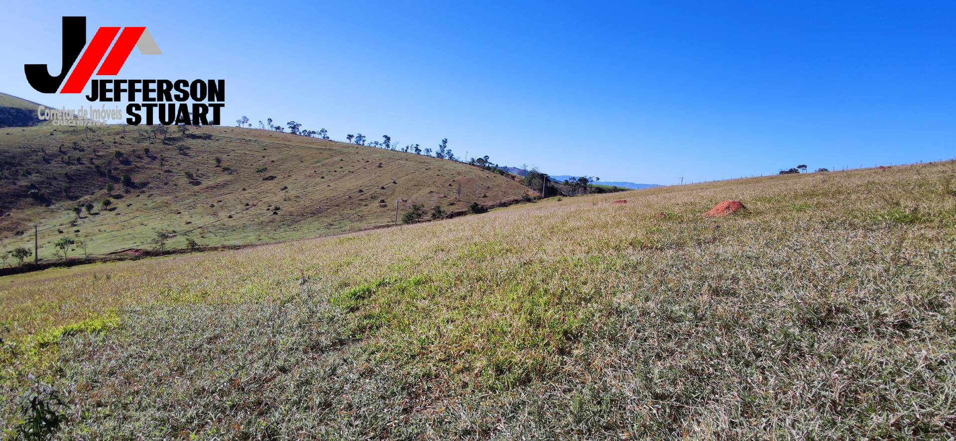 Fazenda à venda com 4 quartos, 4m² - Foto 43