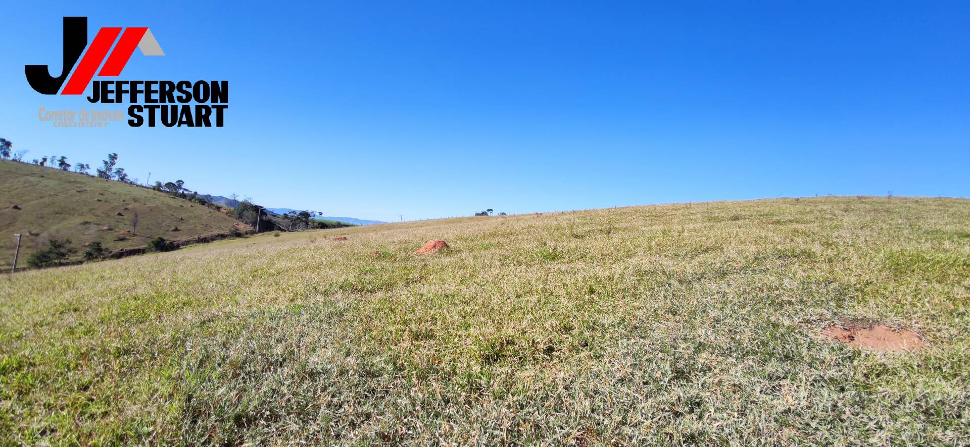 Fazenda à venda com 4 quartos, 4m² - Foto 44