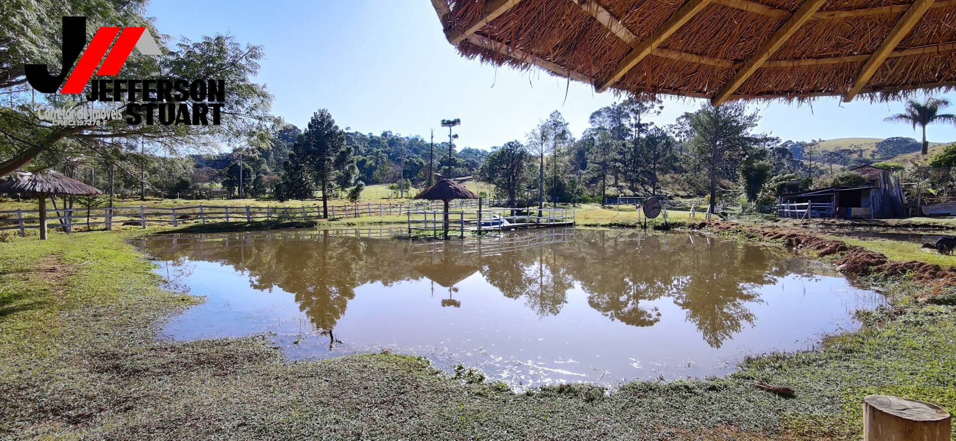 Fazenda à venda com 4 quartos, 4m² - Foto 51