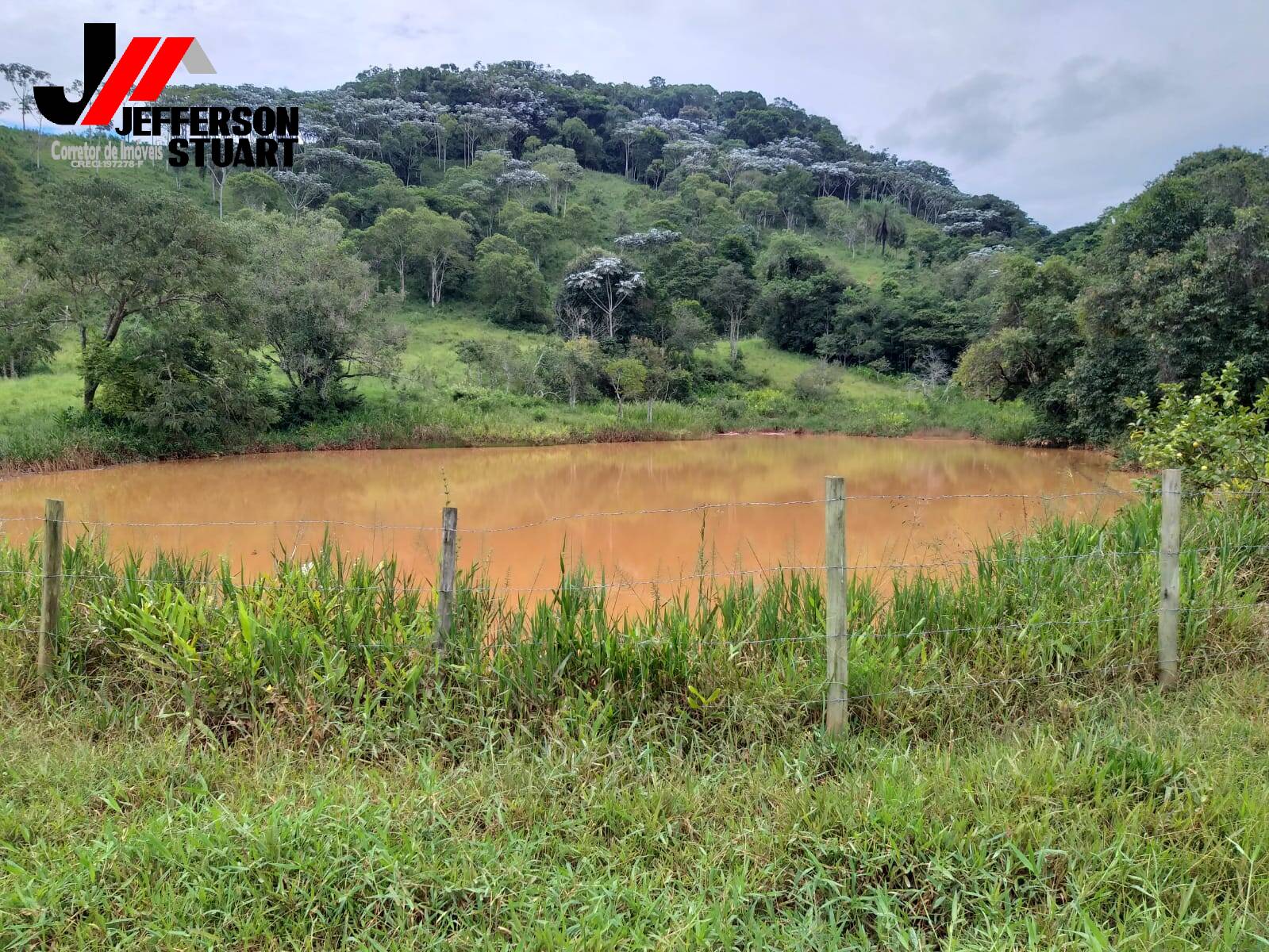 Fazenda à venda com 5 quartos, 23m² - Foto 9