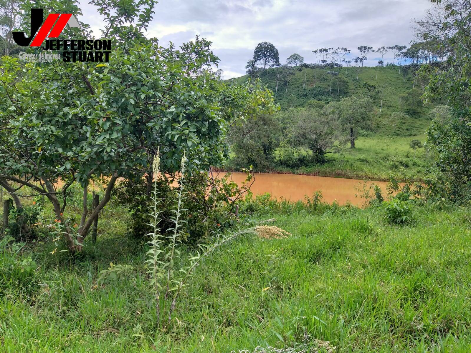 Fazenda à venda com 5 quartos, 23m² - Foto 12